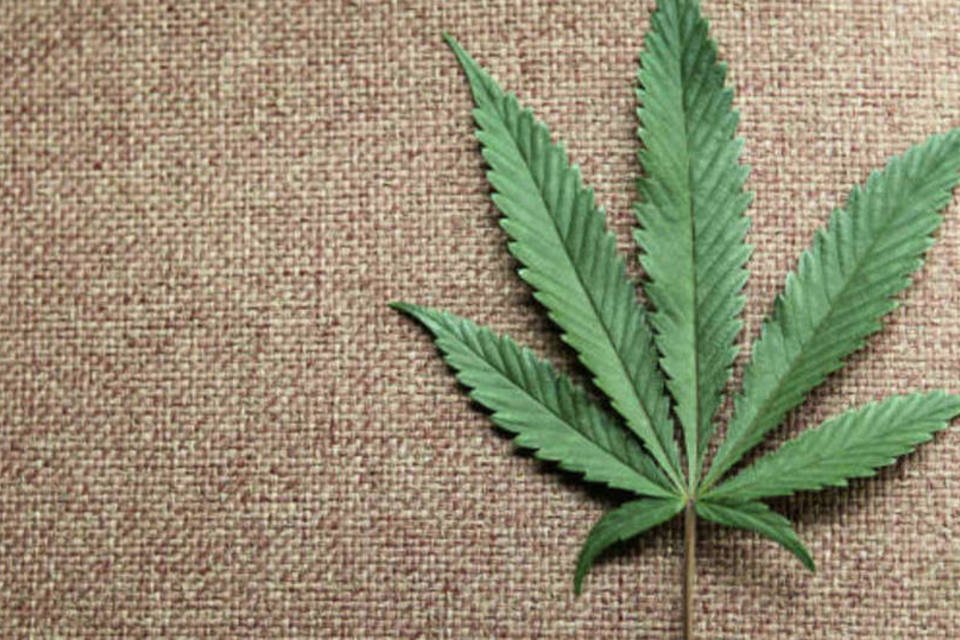 Governo uruguaio quer vender maconha nas farmácias