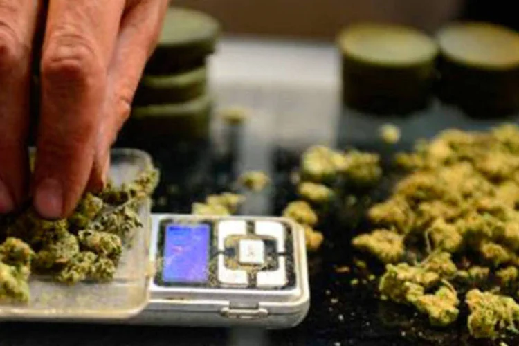 
	Maconha &eacute; pesada em balan&ccedil;a: Uruguai deve come&ccedil;ar a venda s&oacute; em 2015
 (Frederic J Brown/AFP)