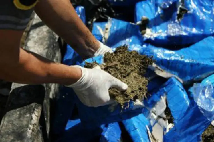 
	Pol&iacute;cia encontra maconha: 340 kg da droga foram apreendidos
 (Pedro Rey/AFP)