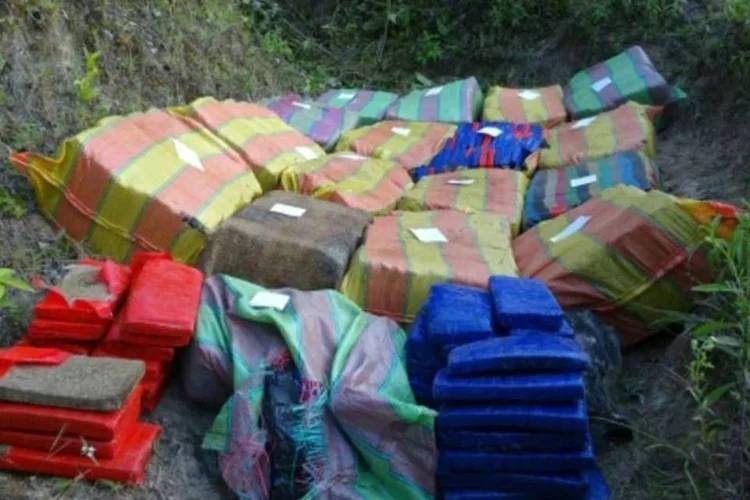 Maconha apreendida pela polícia colombiana (COLOMBIAN NATIONAL POLICE/AFP / STR)