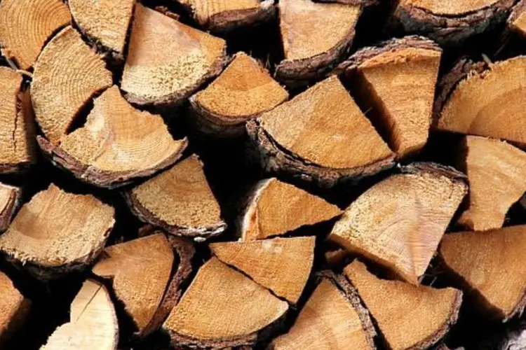 Troncos de madeira cortado (Stock.XCHNG)