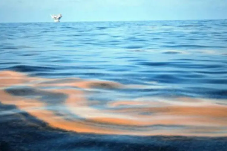 Mancha de óleo que contamina o Golfo do México atingiu uma ilha de Louisiana (.)