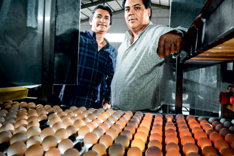 Cunha e Leandro, donos da Mantiqueira: começo com 30.000 galinhas (Germano Lüders / EXAME)