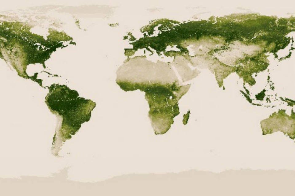 Mapa interativo da NASA mostra cobertura vegetal do planeta