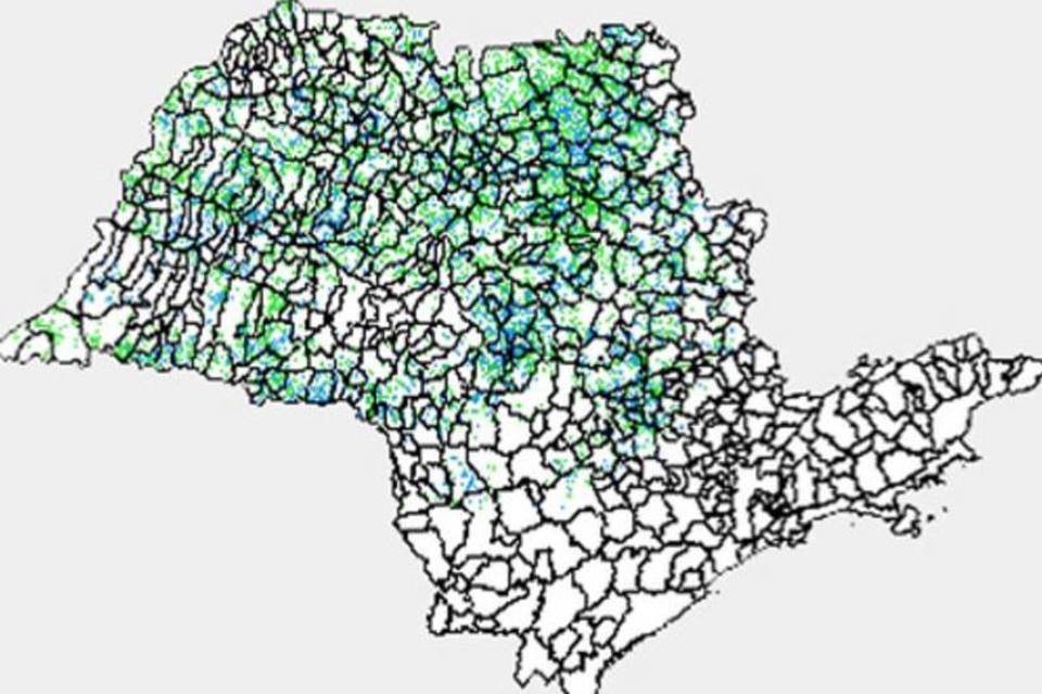 Inpe lança site para monitorar colheita da cana paulista