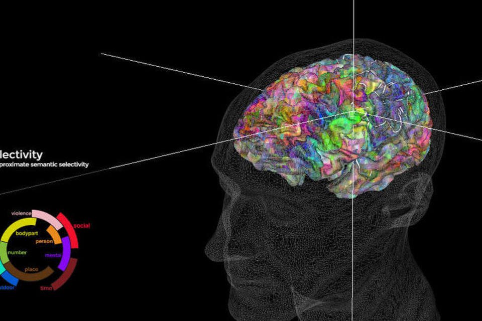 Mapa em 3D mostra como as palavras são guardadas no cérebro