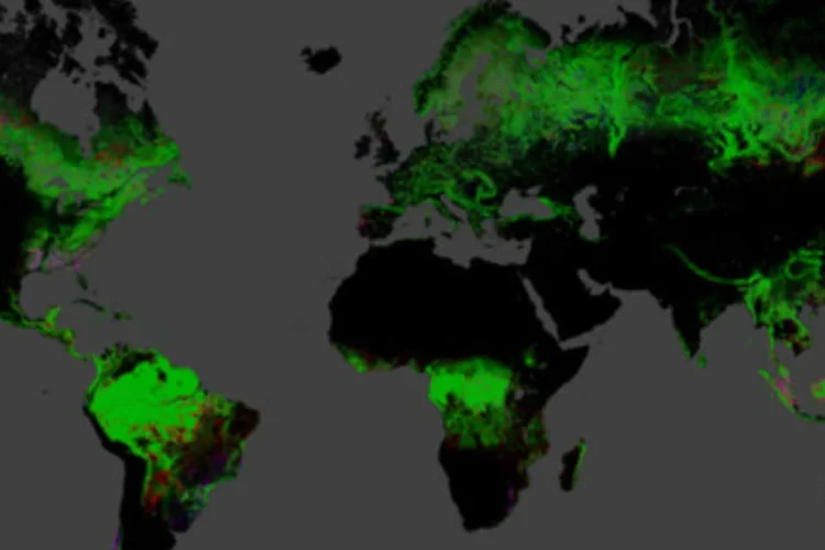 Mapa interativo revela desmatamento global: o mapa já foi utilizado como base em estudo publicado na revista científica Science (Reprodução)