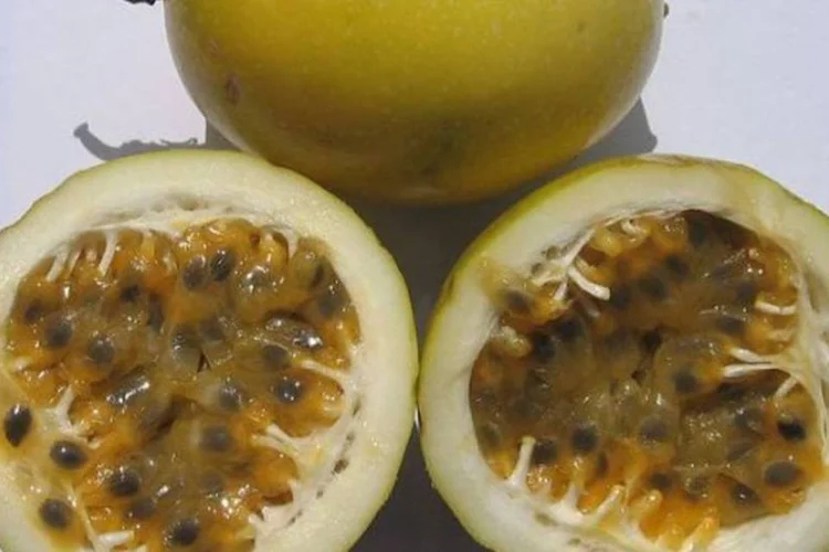 Maracujá (Wikimedia Commons/Reprodução)