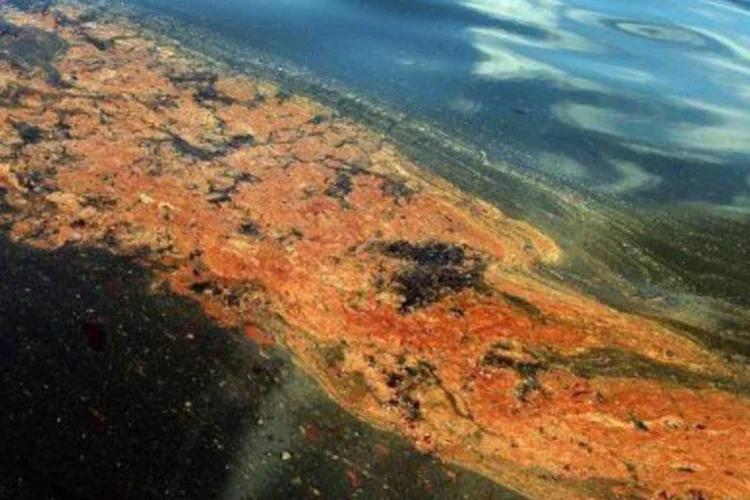 Praia atingida por petróleo  (AFP/Getty Images/Spencer Platt)