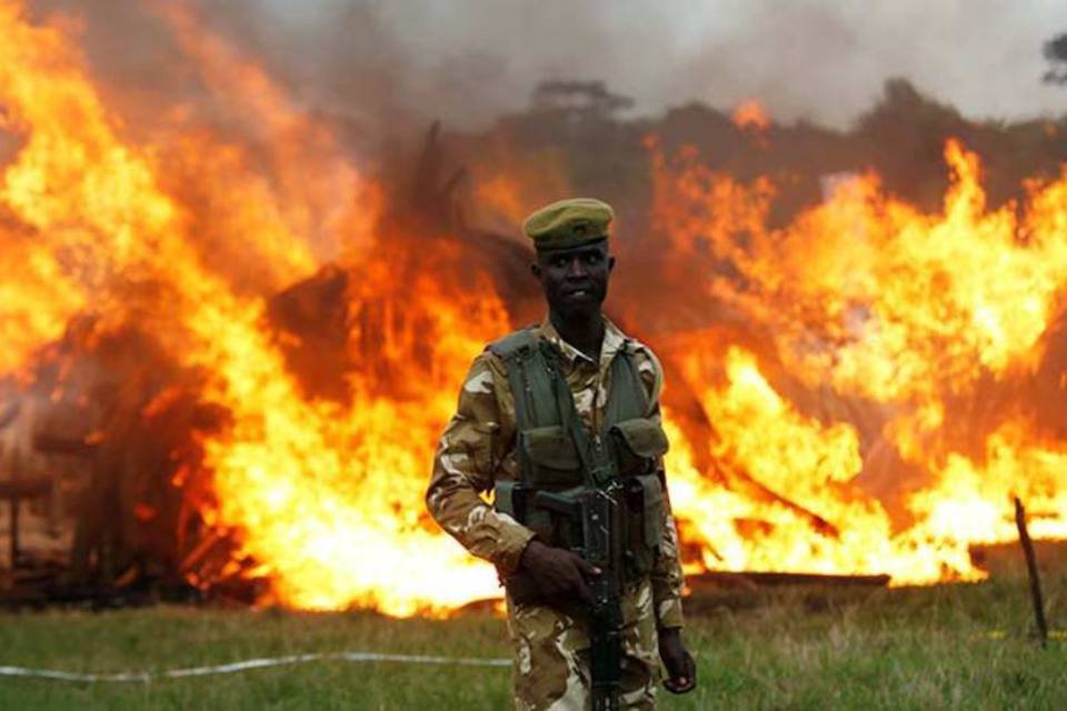 
	Batalha: pa&iacute;s queimou maior estoque de marfim apreendido no mundo para mostrar compromisso de combate &agrave; ca&ccedil;a ilegal.
 (REUTERS/Thomas Mukoya)