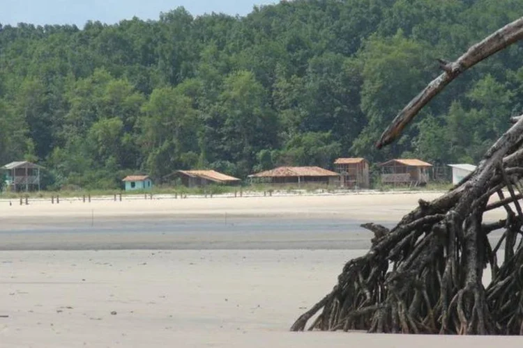 Ilha do Marajó (ICMBio/Divulgação)