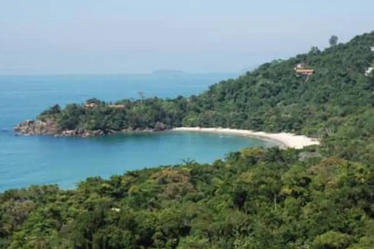 Mata Atlântica e Praia do Félix, vistas da Rodovia Rio-Santos em Ubatuba, São Paulo (.)