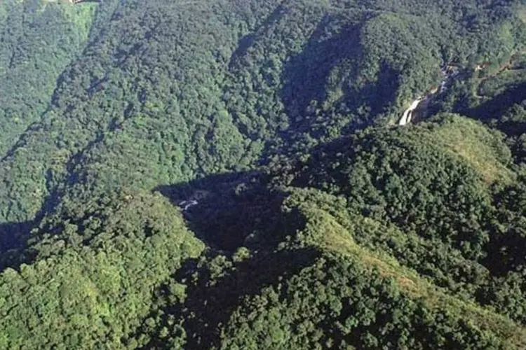 Estado que mais sofreu com o desmatamento da Mata Atlântica foi Minas Gerais, que perdeu 12.467 hectares no período (Roberto Loffel/Veja SP)