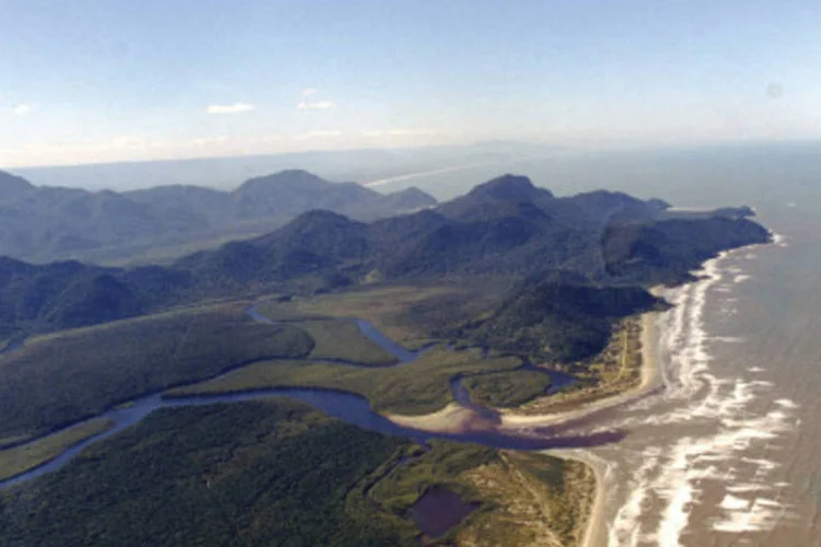 A região de Mata Atlântica na Serra do Mar será uma das áreas que receberá o dinheiro (Arquivo)