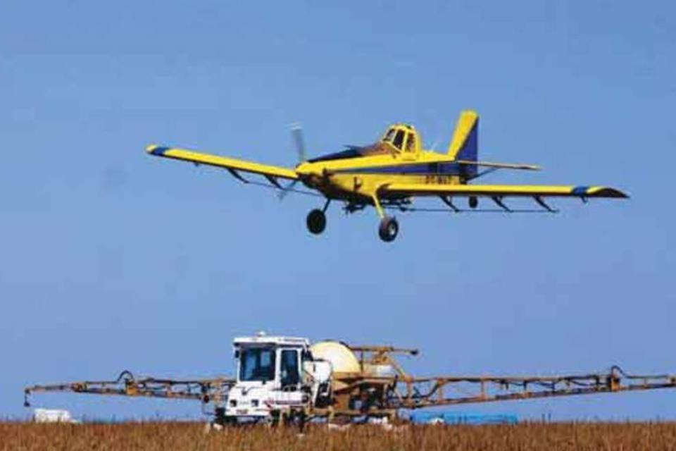 Mato Grosso inicia colheita de safra recorde de soja