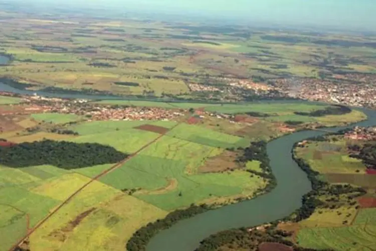 
	Planta&ccedil;&atilde;o no Mato Grosso do Sul: s&oacute; esse estado reduziu a estimativa em 3,6%
 (Wikimedia Commons)