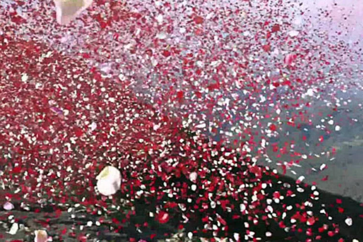Novo comercial da Samsung criou chuva de 8 milhões de pétalas (Reprodução)