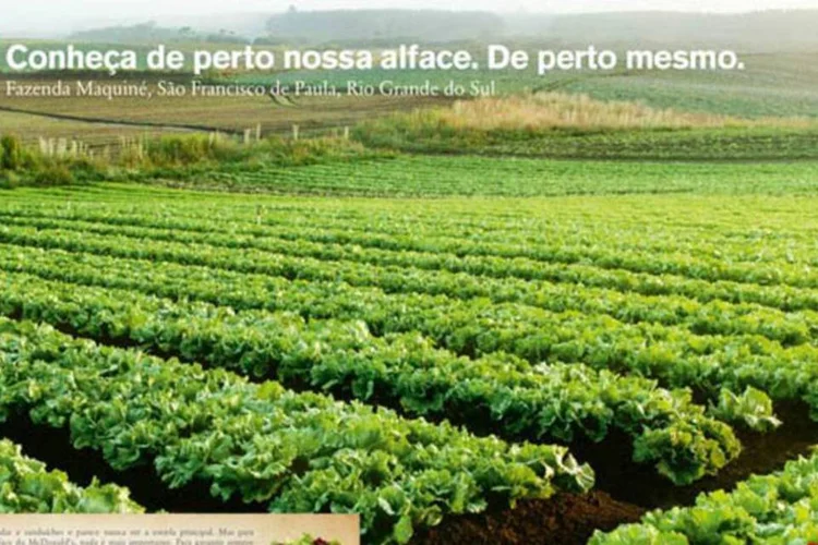 
	Campanha do McDonald&#39;s: na imagem encaminhada pela assessoria de imprensa, chama a aten&ccedil;&atilde;o a bandeira do McDonald&rsquo;s fincada num campo verde, com cen&aacute;rio buc&oacute;lico
 (Divulgação)