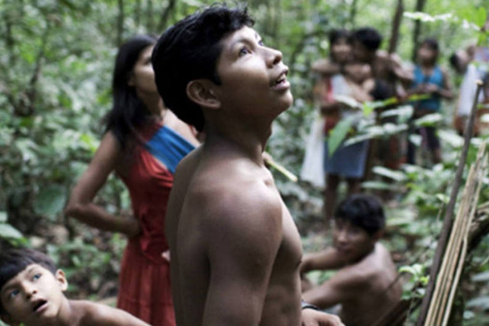 Colin Firth faz apelo ao Brasil para salvar a tribo Awá