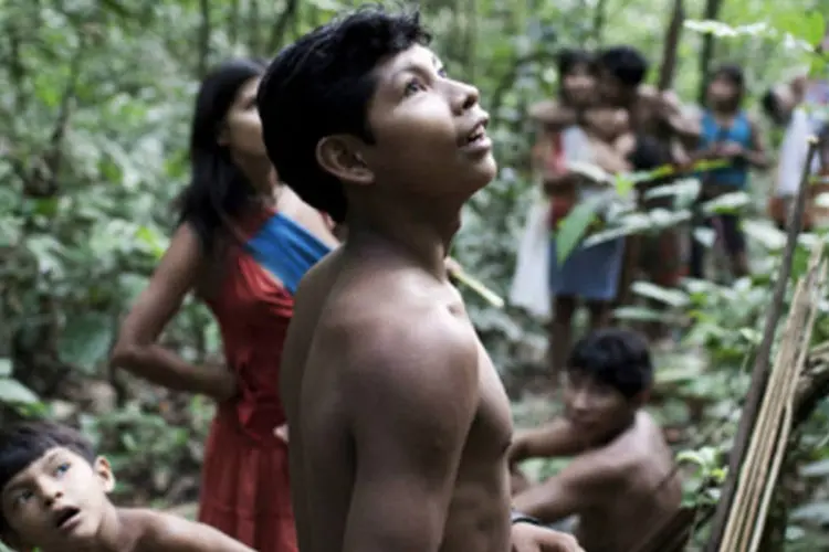 
	Membros da tribo Aw&aacute;-Guaj&aacute; na floresta amaz&ocirc;nica
 (Divulgação/ Survival International)