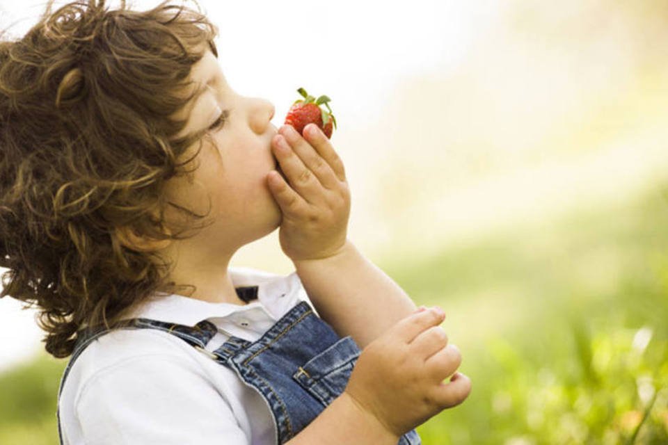 Consumo de orgânicos reduz nível de pesticidas em crianças