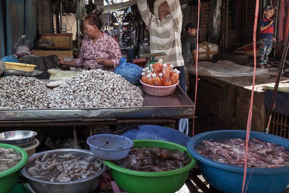 Carne de cachorro provoca intoxicação e mata 4 no Camboja