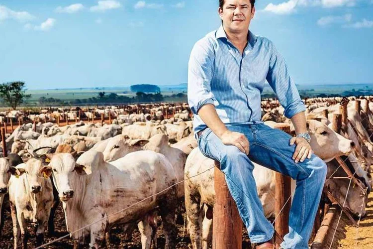 Pedro Merola, na Santa Fé: ali, os bois ganham 153 quilos em 90 dias (Francois Calil/EXAME)