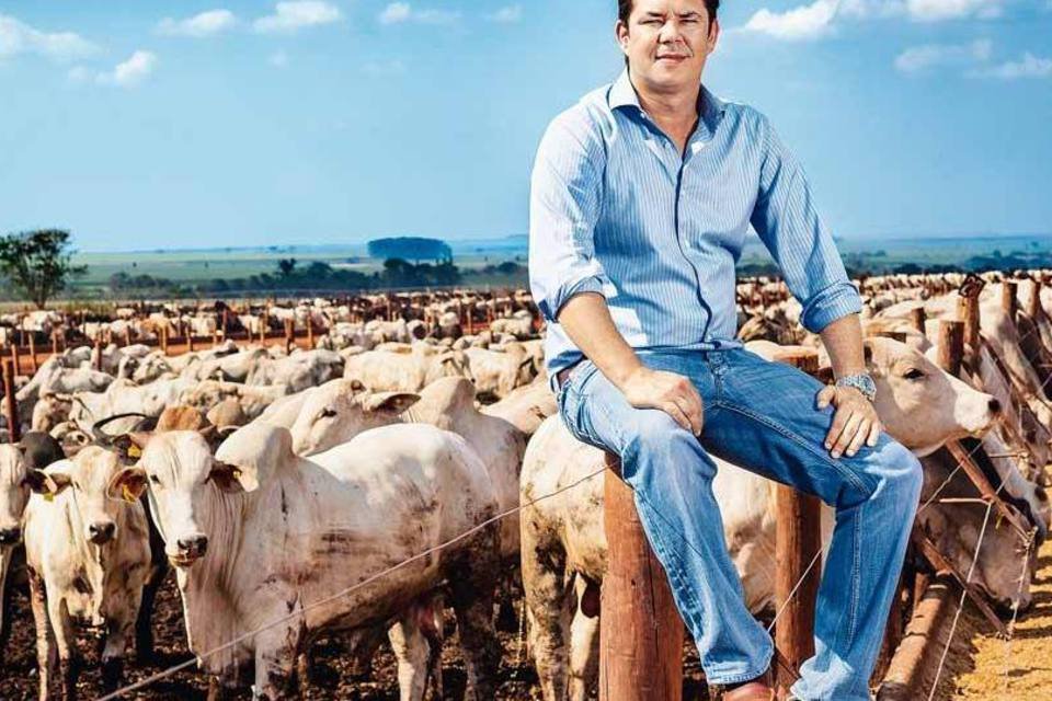 Grupo de fazendeiros faz pecuária do Brasil dar um salto