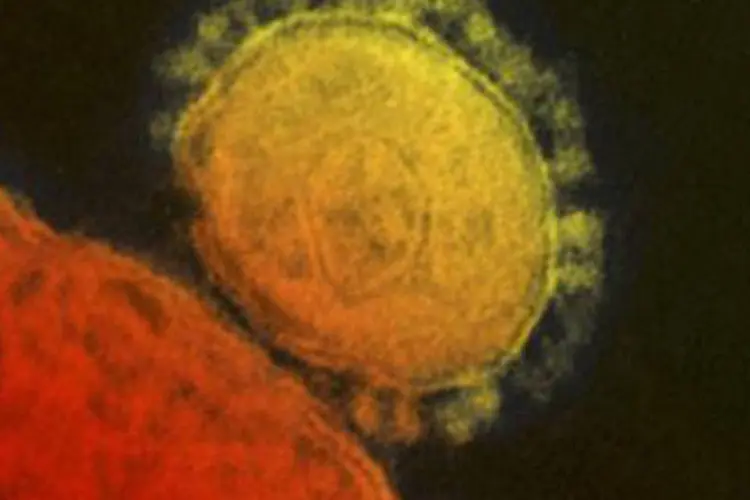 Coronavírus da Mers: ele é da mesma família do vírus da Síndrome Respiratória Aguda Arave (Sars), que surgiu em 2002 na China e matou cerca de 800 pessoas no mundo todo desde então (Reuters)