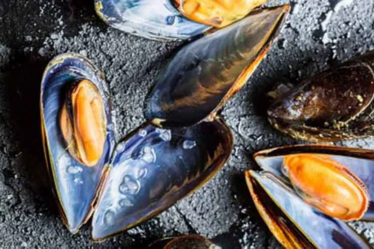 
	Amea&ccedil;a &aacute;cida: os invertebrados, assim como os peixes, s&atilde;o especialmente sens&iacute;veis a mudan&ccedil;as r&aacute;pidas de pH.
 (Thinkstock)