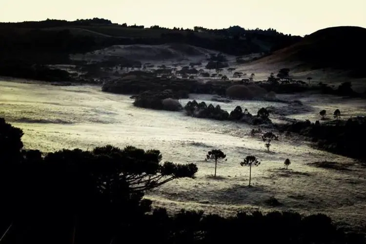 Área de campo em São Joaquim após geada e neve da madrugada de 29/4/2016  (Mycchel Hudsonn Legnaghi/São Joaquim Online)