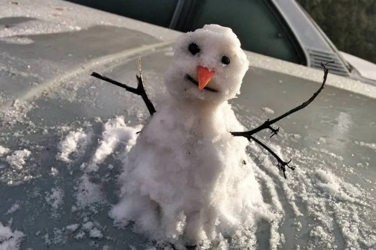 Boneco de neve montado em São Joaquim na geada da madrugada de 29/4/2016  (Mycchel Hudsonn Legnaghi/São Joaquim Online)