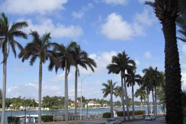 
	Praia em Miami: o ca&ccedil;a foi encontrado em frente &agrave; costa da Miami Beach
 (Wikimedia Commons)