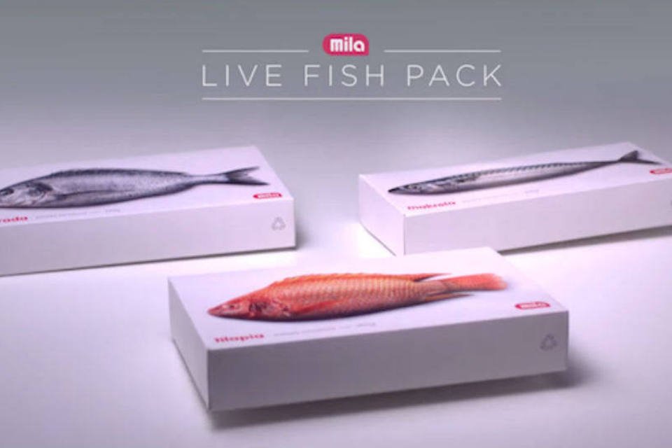 Mercado faz pegadinha com clientes usando 'peixe vivo'