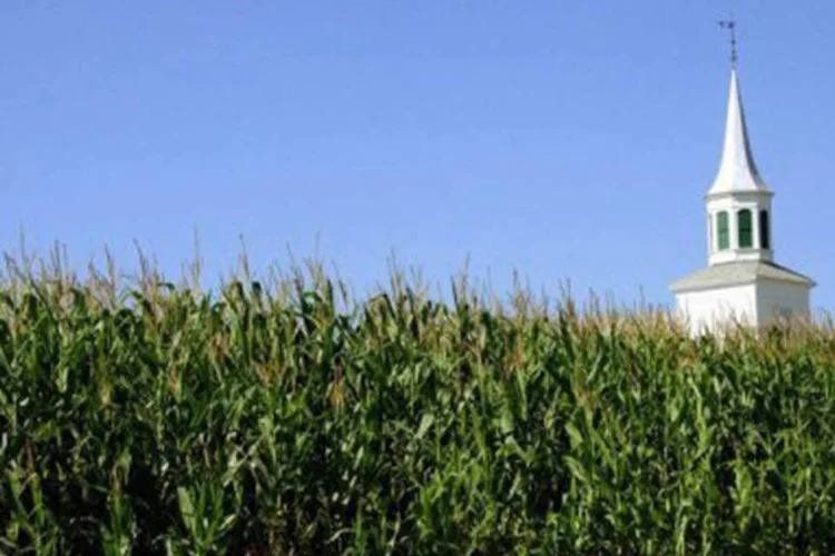 
	Planta&ccedil;&atilde;o de milho em fazenda do Wisconsin: a cota&ccedil;&atilde;o do milho na Bolsa de Chicago, que tinha subido mais de 60% em dois meses, alcan&ccedil;ou um novo pico
 (Karen Bleier/AFP)