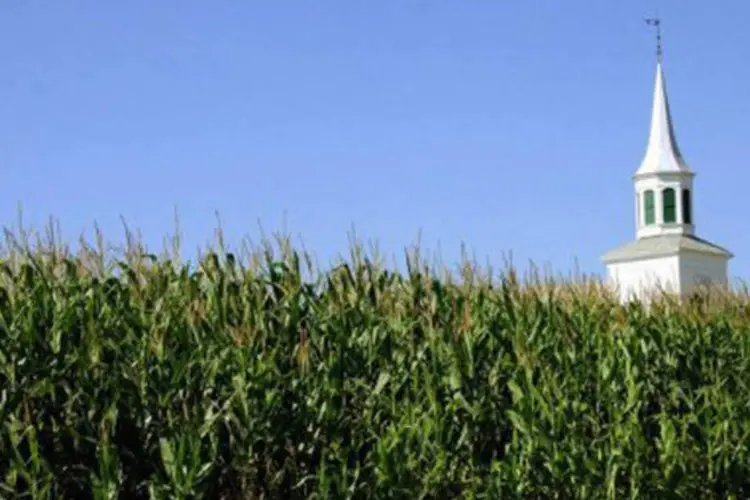 Plantação de milho em fazenda do Wisconsin, nos EUA, em 2008: esse crescimento implica produzir 1 bilhão de toneladas de cereais a mais por ano (Karen Bleier/AFP)