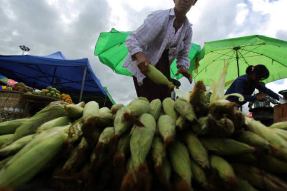 Índice de preços globais de alimentos cai 2% em julho