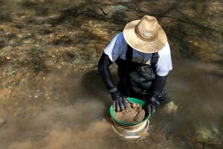 
	Minera&ccedil;&atilde;o de ouro: no texto, est&atilde;o previstas medidas para combater a extra&ccedil;&atilde;o ilegal e o com&eacute;rcio de ouro n&atilde;o transformado, especialmente a venda e a revenda
 (Getty Images)