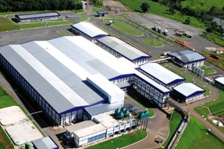 Minerva: com a abertura de centros de distribuição a empresa procura reforçar sua presença junto ao consumidor final (Divulgação)