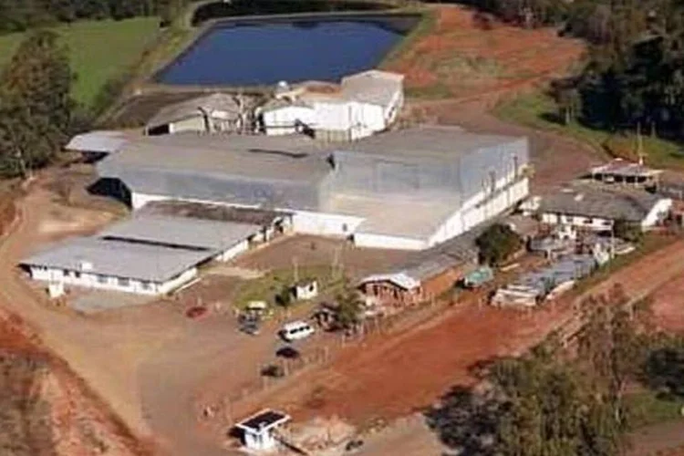 Unidade de Passo Fundo: a renovação do contrato dá prosseguimento ao programa de capitalização para gerir a plena ocupação dessa unidade (Divulgação)