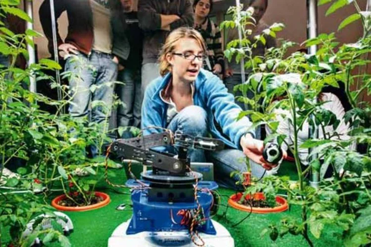 Competição de robótica no MIT: ao longo de décadas, a universidade criou diversas formas de incentivo à inovação (Divulgação/MIT)