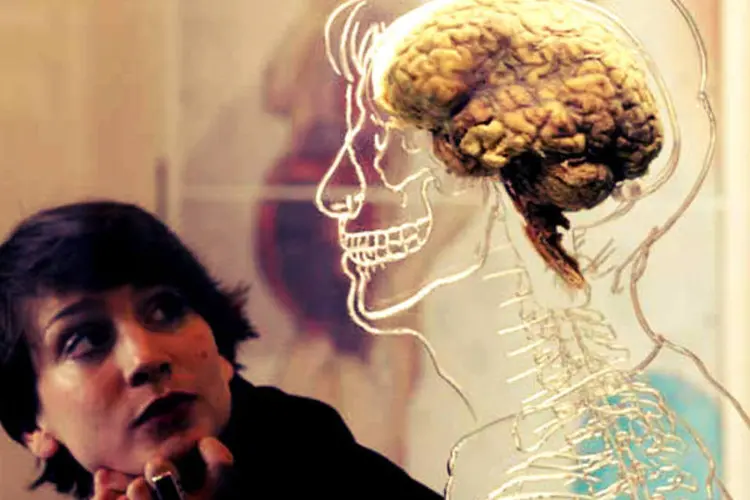 moça olha para um cérebro em exposição em Bristol, Reino Unido (Getty Images)