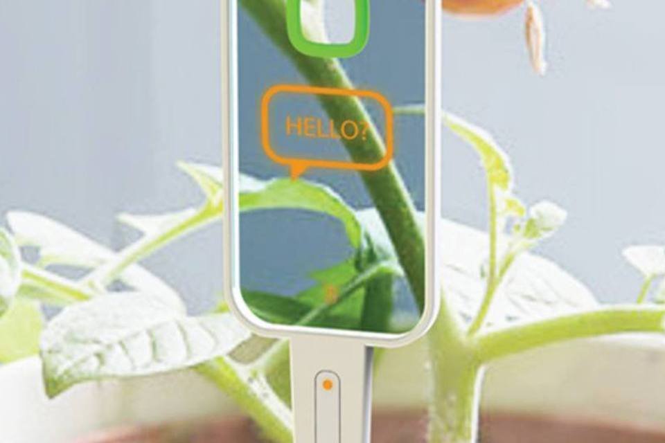 Designer cria gadget que monitora a saúde das plantas