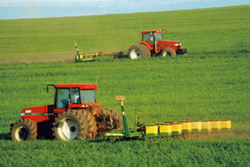 Nova soja da Monsanto chegará 1º ao Brasil em 2013, diz presidente