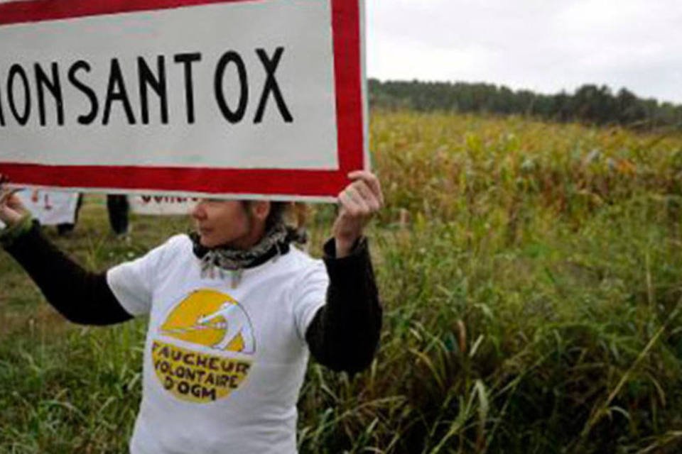 Pequena cidade argentina enfrenta gigante Monsanto