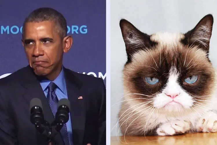 Barack Obama e "Grumpy Cat": presidente imitou o fenômeno da internet em evento organizado pelos democratas (Reprodução/YouTube/The Telegraph e Reprodução/Facebook/The Official Grumpy Cat)