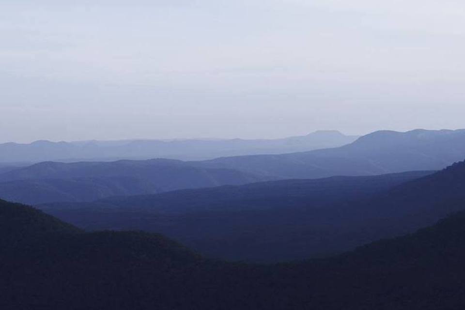 Montanhas Azuis da Austrália começam a renascer das cinzas
