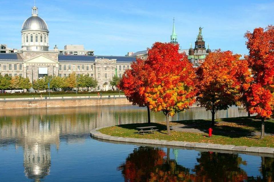 Québec procura brasileiros para estudar em suas universidades