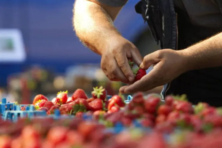 
	Frutas e vegetais ajudaram a impulsionar a infla&ccedil;&atilde;o na zona do euro
 (Vasily Fedosenko/Reuters)