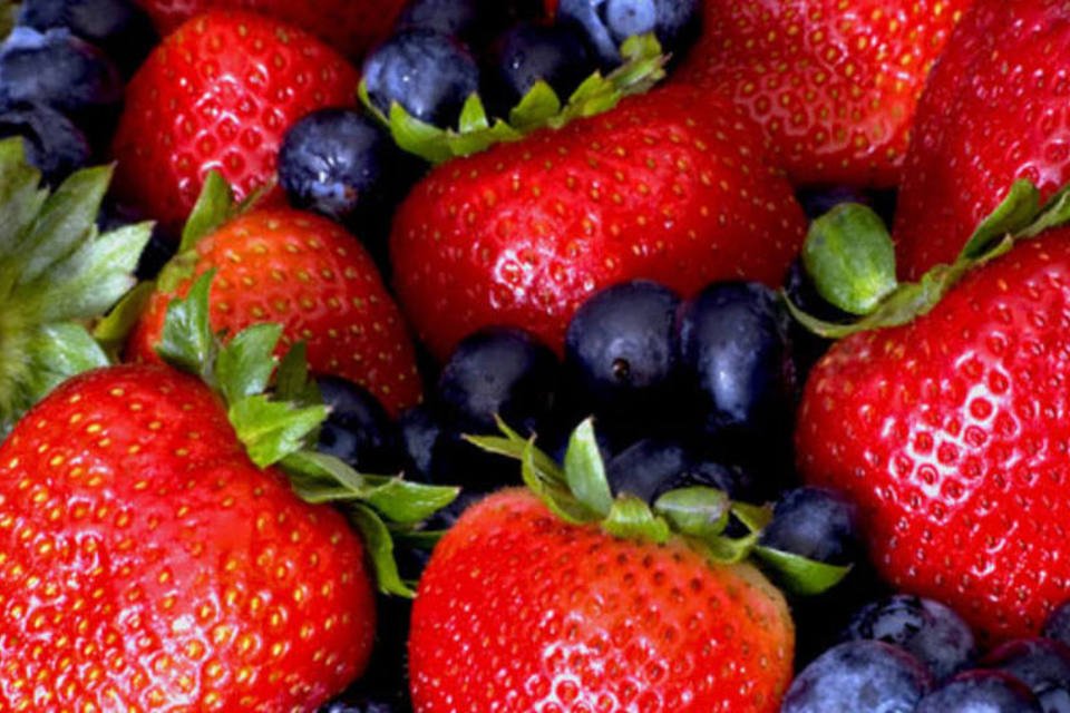 Comer frutas vermelhas pode retardar o declínio cerebral